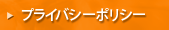 �ץ饤�Х����ݥꥷ��