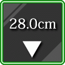 28cm