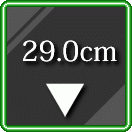 29cm