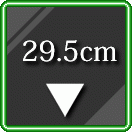 29.5cm