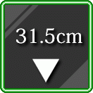 31.5cm