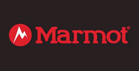 marmot