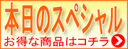 �����Υ��ڥ���롪