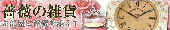 �鯡ʥ������˥���ƥꥢ����