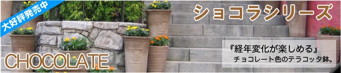 �ƥ饳�å��ץ�󥿡������祳�饷�꡼��