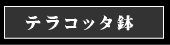 �ƥ饳�å�ȭ