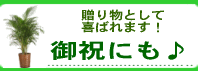 ��Ź�ˡ����۽ˡ����۽ˤˤ⡪