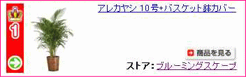 ���쥫�䥷