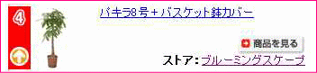 �ѥ���8��