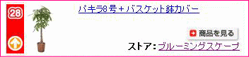 �ѥ���8��