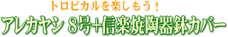 ���쥫�䥷8��+���ھ�ƫ��ȭ���С�