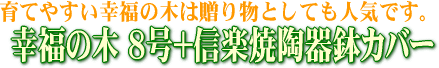 ��ʡ����8��+���ھ�ƫ��ȭ���С�