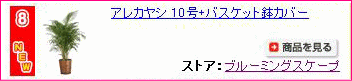 ���쥫�䥷8