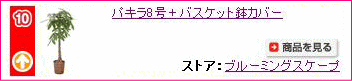 �ѥ���8