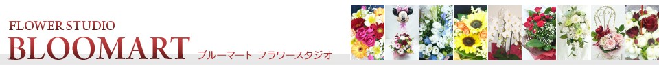 FLOWER STUDIO BLOOMART���ե����������֥롼�ޡ���
