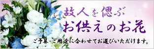 �οͤ�Ť֡��������Τ��֡���ͽ���������Ӥ˹�碌�Ƥ����Ӥ��������ޤ���