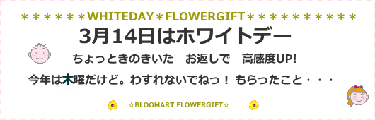 �ۥ磻�ȥǡ��β�