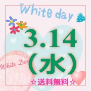 �ۥ磻�ȥǡ����ե�