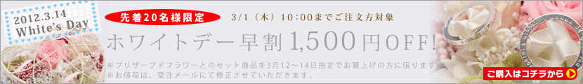 2012�ۥ磻�ȥǡ�