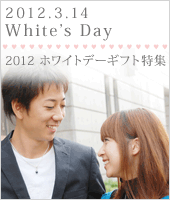 2012�ۥ磻�ȥǡ����ե��ý�
