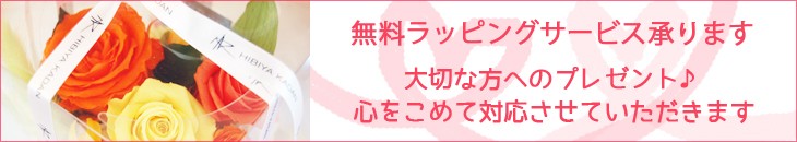 ������ˡ֥�åԥ󥰴�˾�פȤ��񤭲�����...