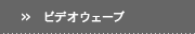�ӥǥ���������