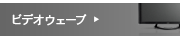 �ӥǥ���������