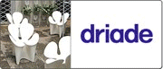 driade
