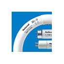 �ѥʥ��˥å��ʥʥ���ʥ�ˤηָ���