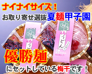 �ʥ��ʥ���������ͥ���ͤ����Ф줿���ߤ��ɤ�פ˻ȤäƤ��ޤ���