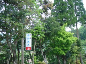 敷地入口に見える看板