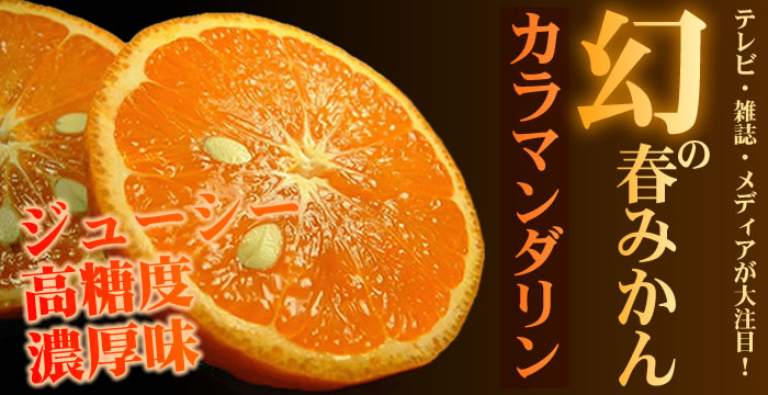 ����ޥ�����ʽդߤ����