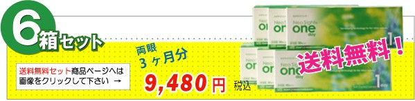 ネオサイトワンデー/6箱セット