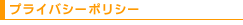 �ץ饤�Х����ݥꥷ��