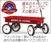 �饸���ե饤�䡼