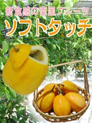 �ѥå����,�ѥå����ե롼��,���ե�,£��ʪ,�ץ쥼���