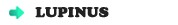 ��ԥʥ�