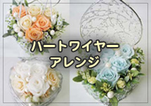 �ϡ��ȥ磻�䡼�������