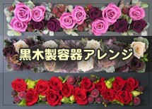 �������ƴ異���