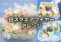 �򥹥������磻�䡼�����