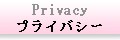 �ץ饤�Х����ݥꥷ��