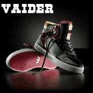 Vaider