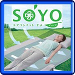 �֥롼�쥤�ץ졼�䡼