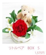 BOX S