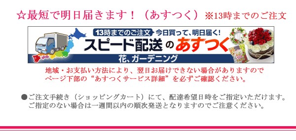 ��û�����Ϥ��ޤ��������Ĥ������ӥ���