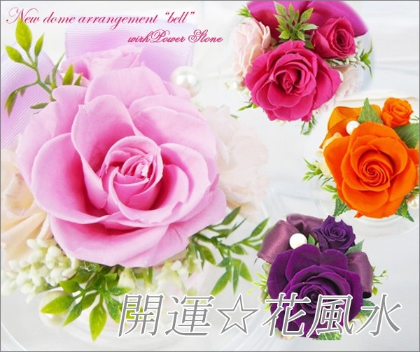 ���� �����塡�ɡ���ץꥶ�ȿ徽���ۥ磻�ȥ�����������