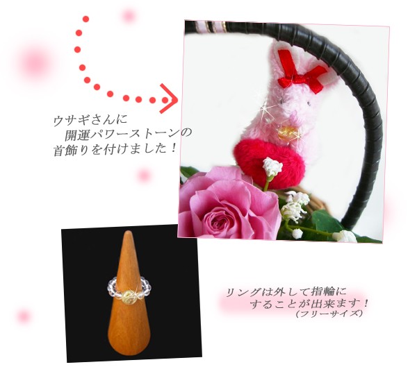 ������Ƥ֡��ѥ���ȡ��󡡥��ꥹ���륯������/������ɥ����