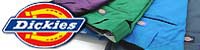 Dickies/�ǥ��å�����