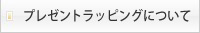 �ץ쥼��ȥ�åԥ󥰤ˤĤ���
