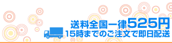 ���������Χ525�ߡ�15���ޤǤΤ���ʸ��¨������